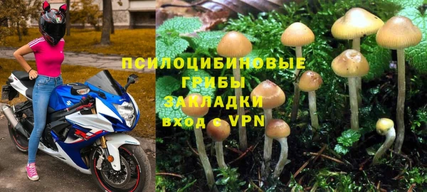 PSILOCYBIN Белоозёрский