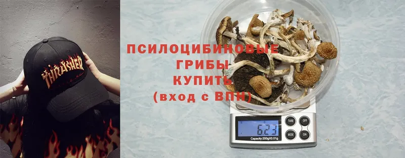 Псилоцибиновые грибы Magic Shrooms  где найти наркотики  Будённовск 